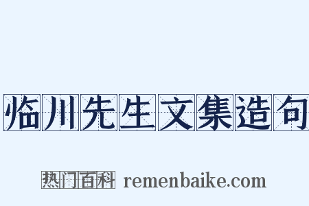 临川先生文集造句是什么意思的图片